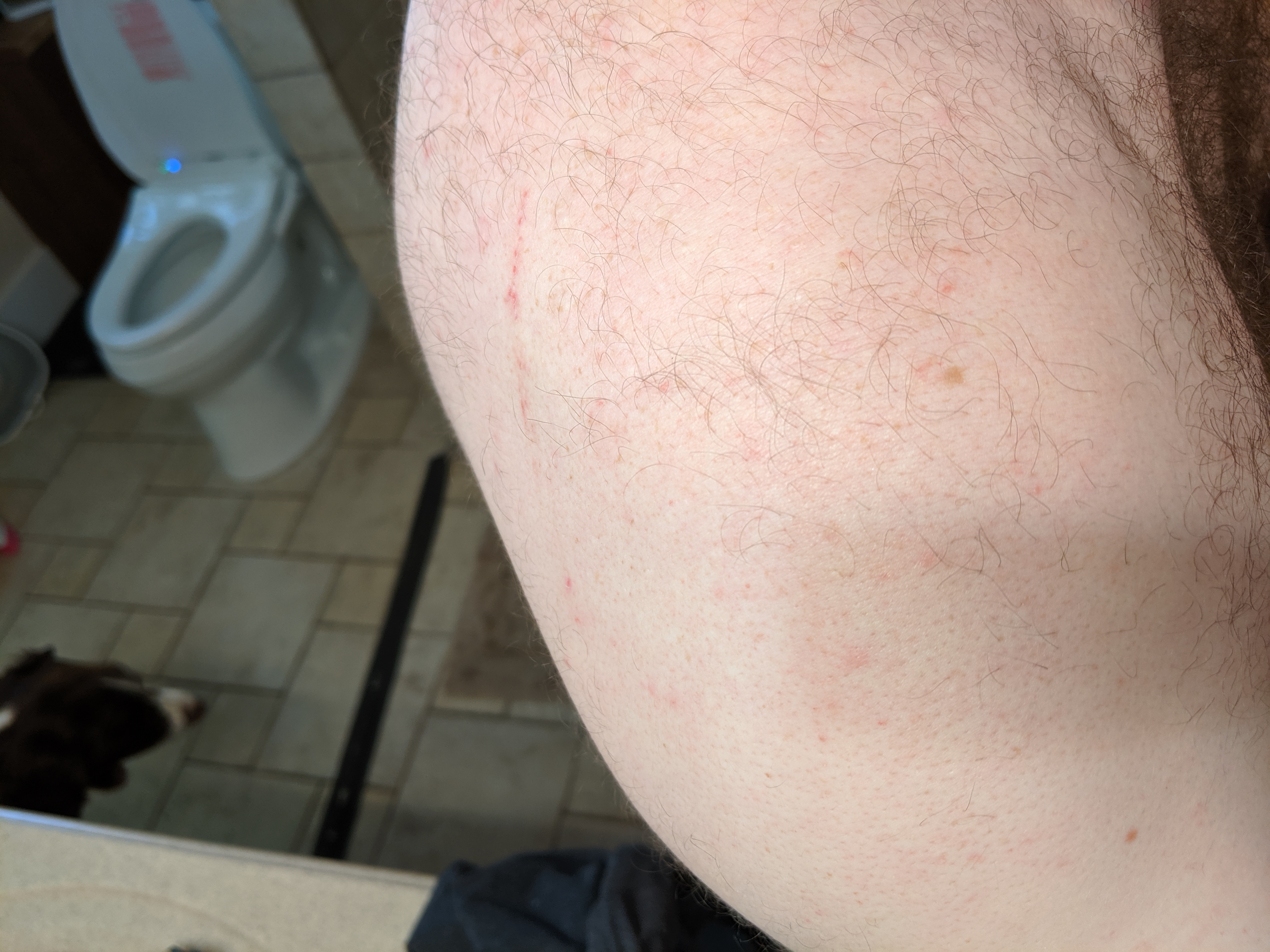 IMG_20190525_084420.jpg