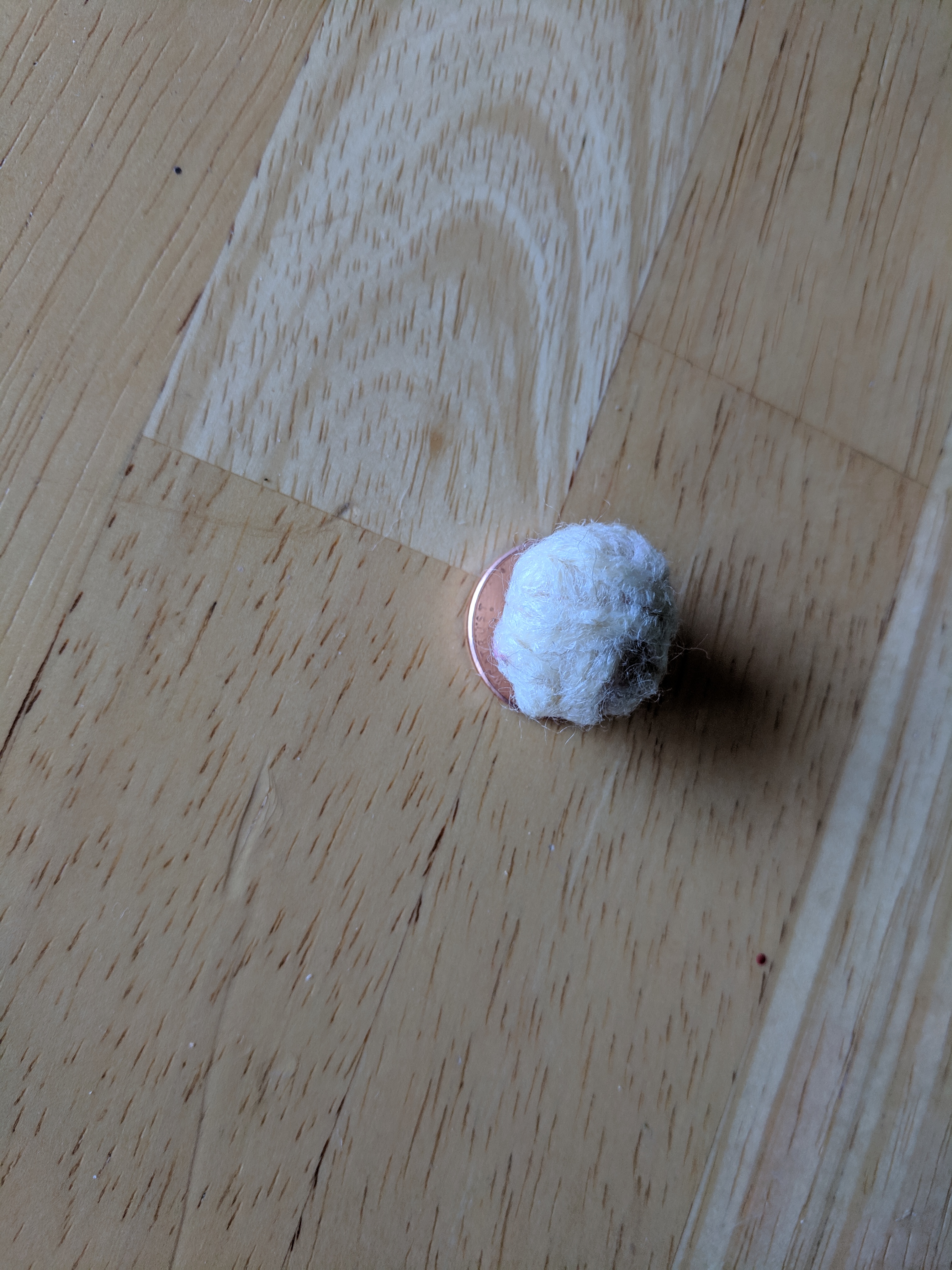 IMG_20181129_083038.jpg