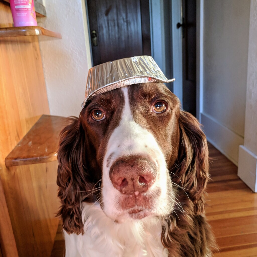 Copper (RIP)